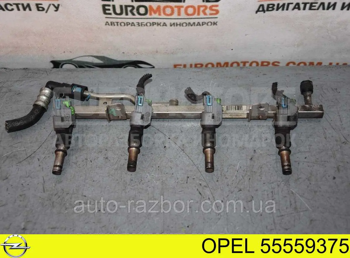 Купити 55559375 Opel Розподільник палива