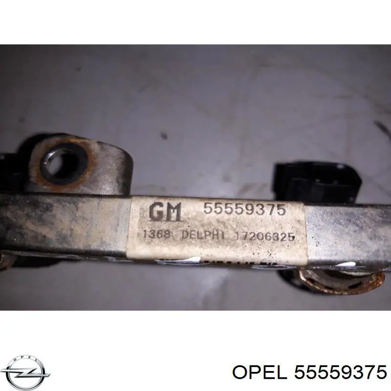 Купити 55559375 General Motors Розподільник палива