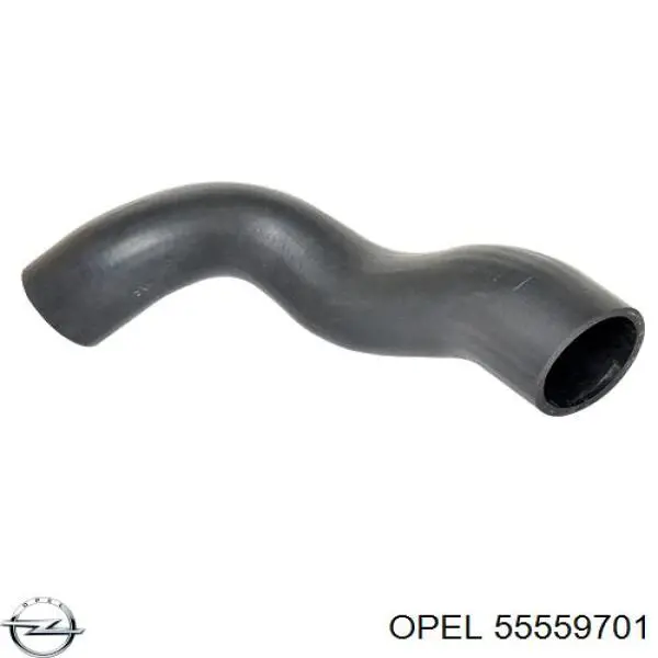 Купити 55559701 Opel 