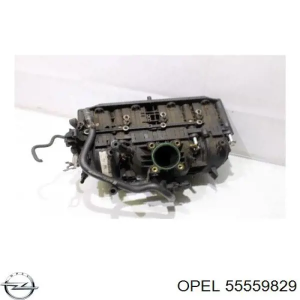  Opel 55559829 ціна, від 42.33 USD