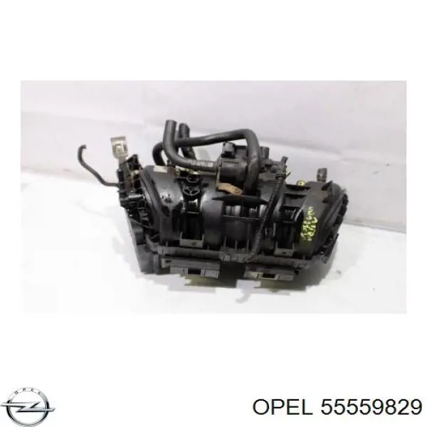 Купити 55559829 Opel 