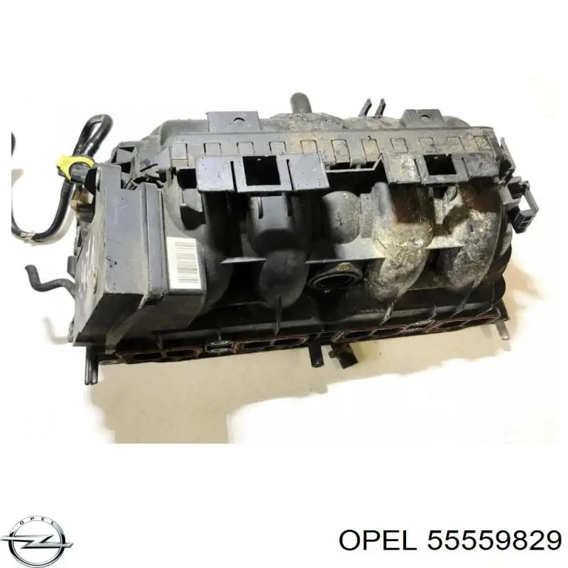  55559829 Opel