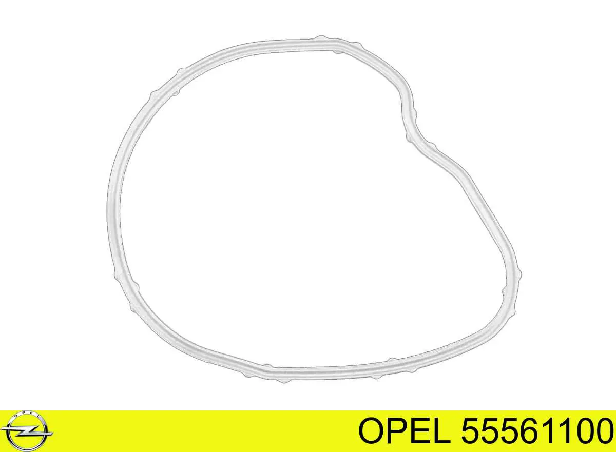 Прокладка вакуумного насосу Opel 0545349 ціна, від 10.98 USD