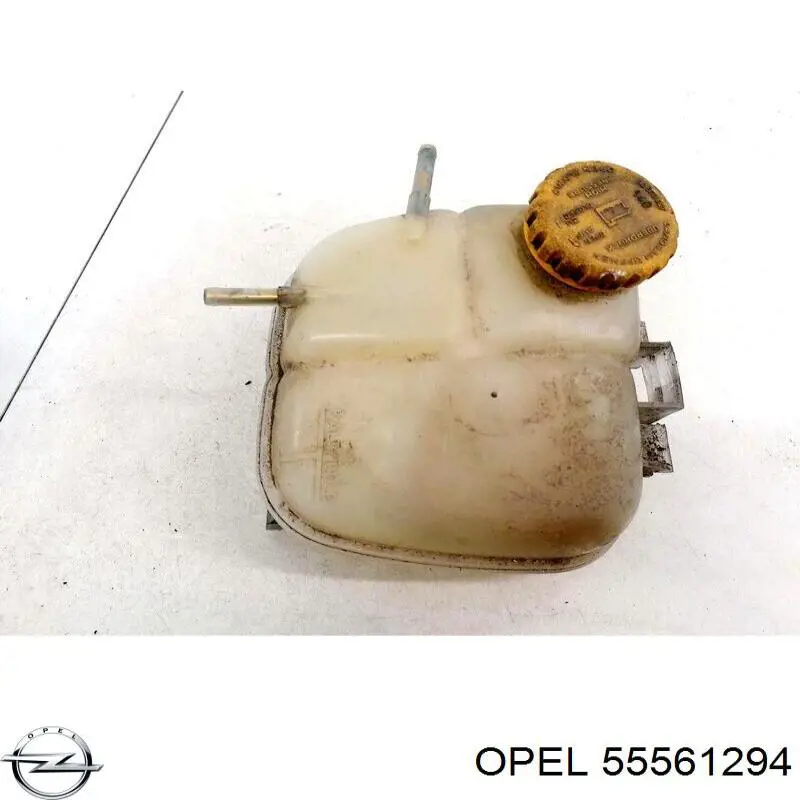 55561294 Opel 