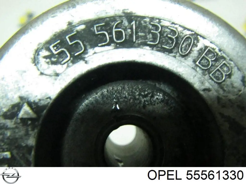 Купити 55561330 Opel Натягувач приводного ременя