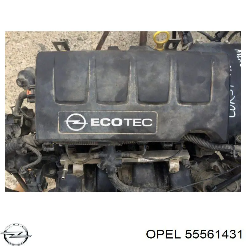 Кришка двигуна декоративна 55561431 Opel