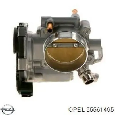 Купити 55561495 Opel Дросільна заслінка