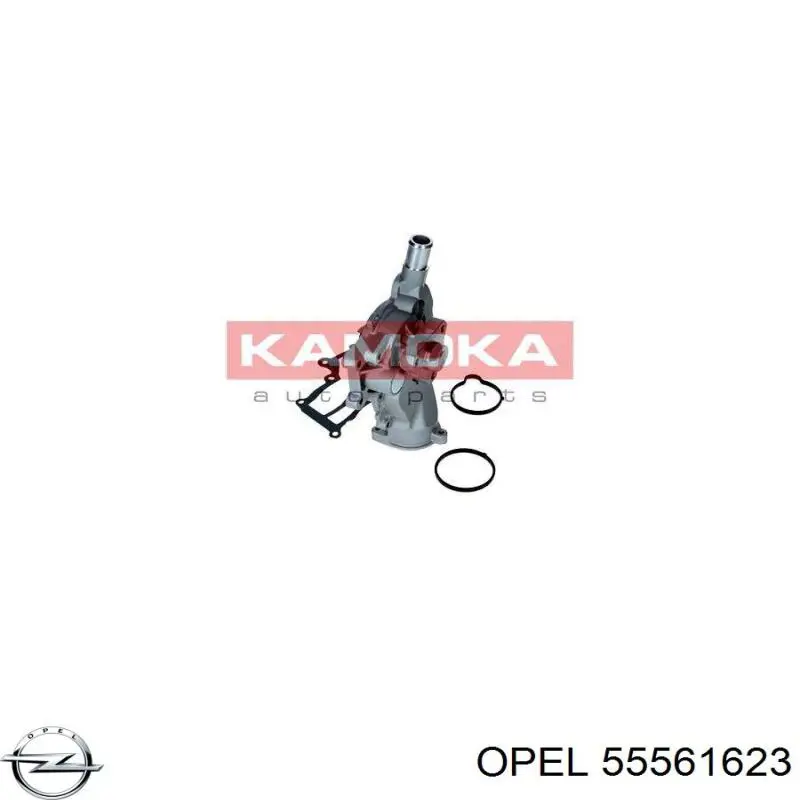 55561623 Opel Насос охолодження