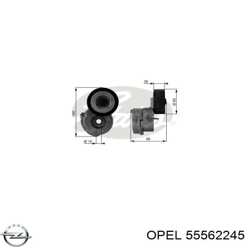 Натягувач приводного ременя 55562245 Opel