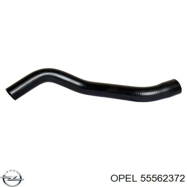 Купити 5825724 Opel Шланг (патрубок) обігріву дросельної заслінки