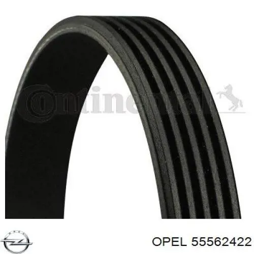 Купити 55562422 Opel Ремінь генератора