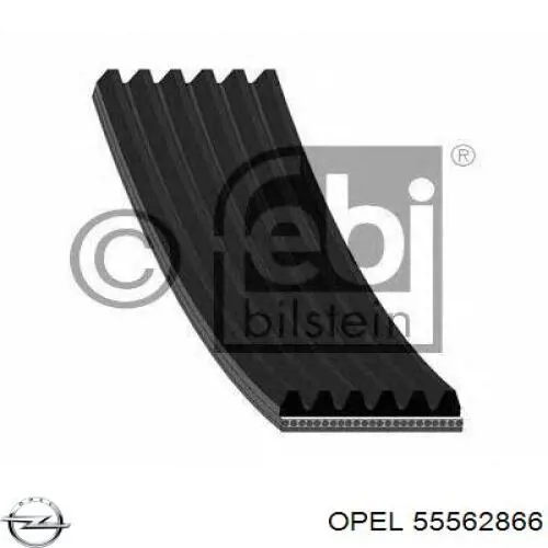 Купити 55562866 Opel Ремінь генератора