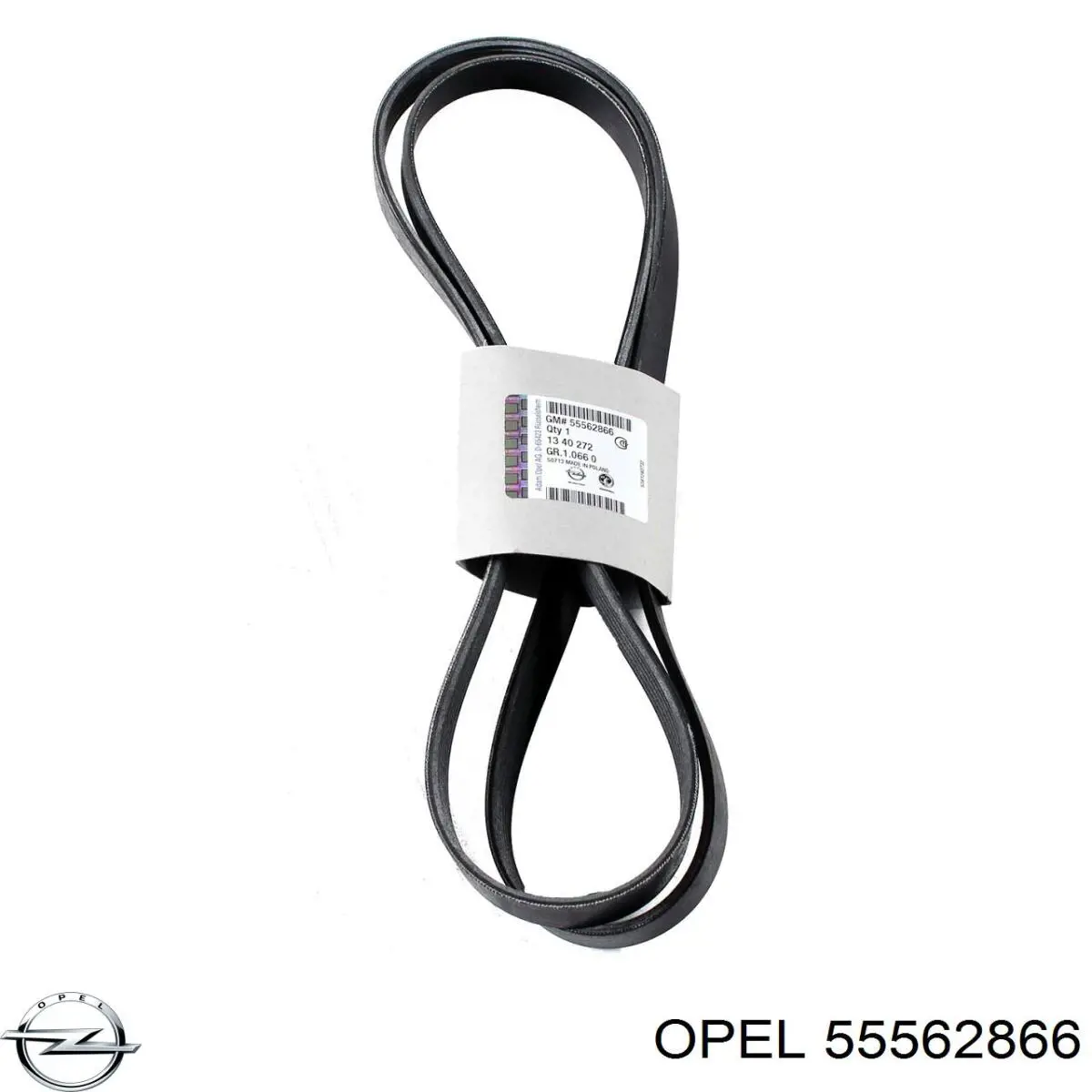 Купити 55562866 Opel Ремінь генератора