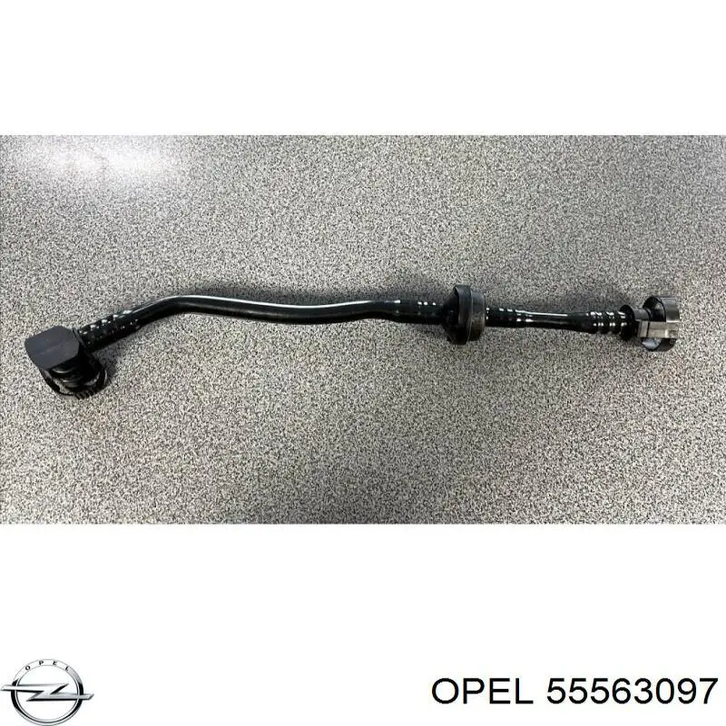 Купити 55563097 Opel Шланг для видалення повітря