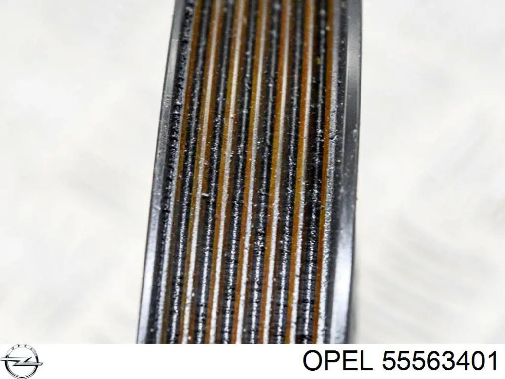 Купити 55563401 Opel Шків колінчастого вала