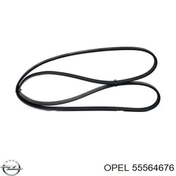 Клиновий ремінь Opel 55564676 ціна, від 6.67 USD