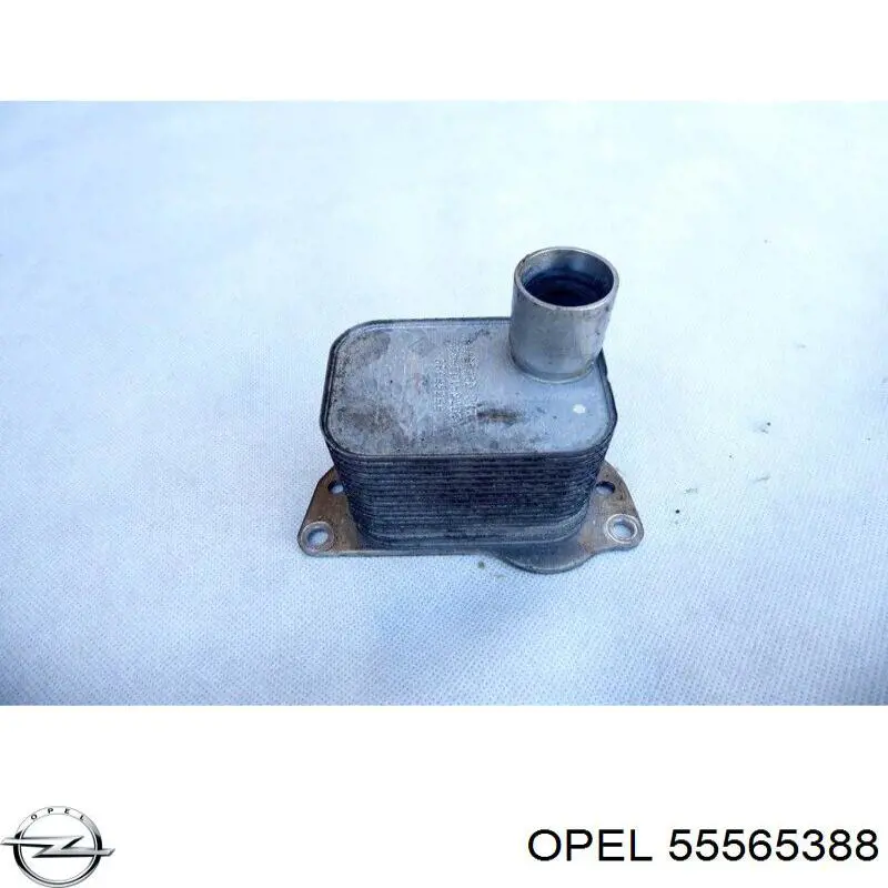 Радіатор масляний (холодильник), під фільтром OL3702H AVA