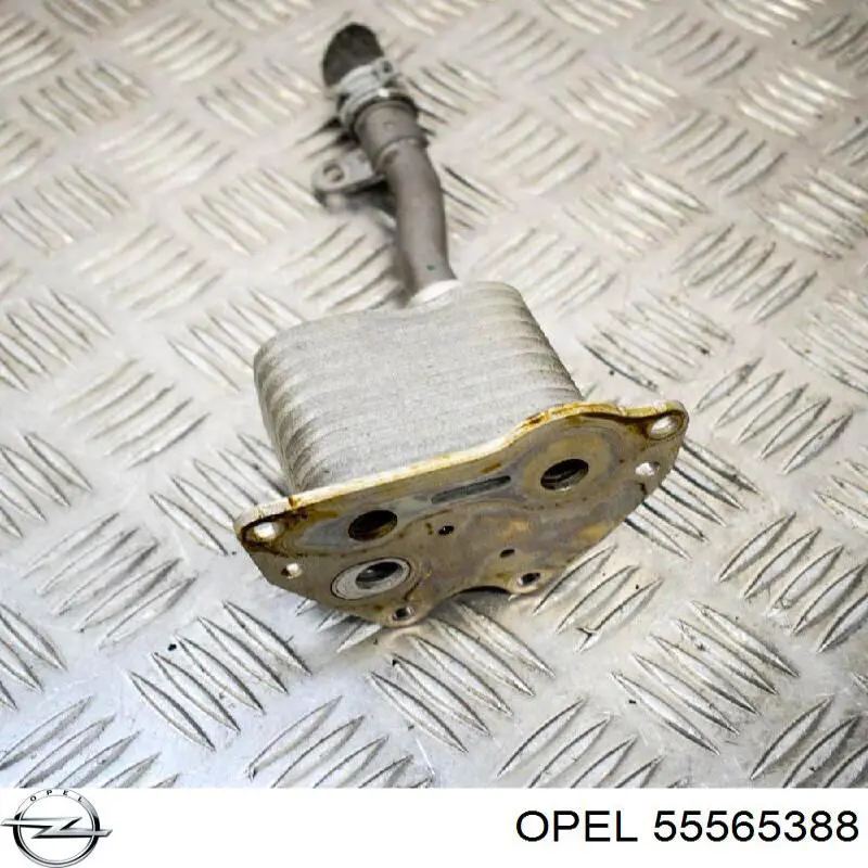 Радіатор масляний (холодильник), під фільтром Opel 55565388 ціна, від 44.39 USD