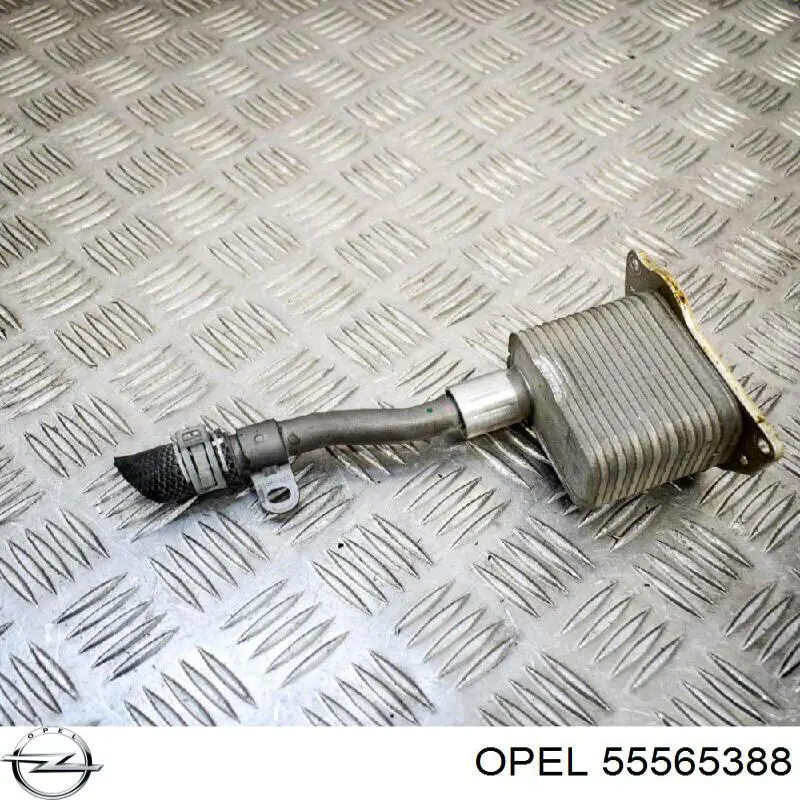 Купити 55565388 Opel Радіатор масляний (холодильник), під фільтром