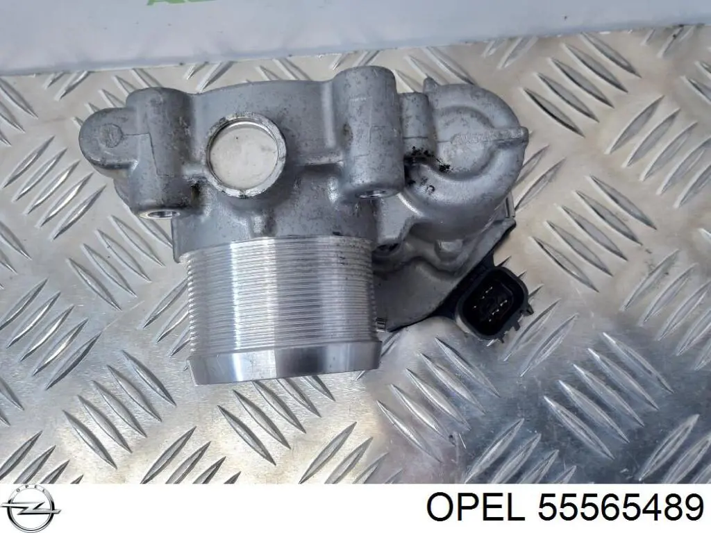 Купити 55565489 Opel Дросільна заслінка
