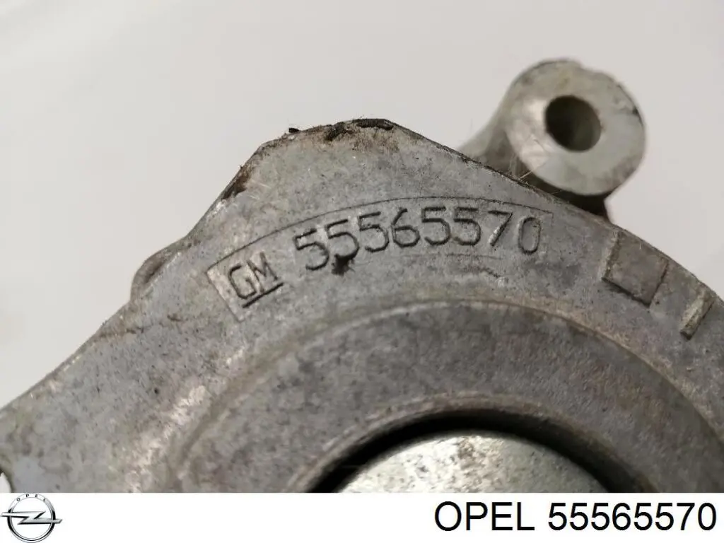 Натягувач приводного ременя Opel 55565570 ціна, від 49.88 USD