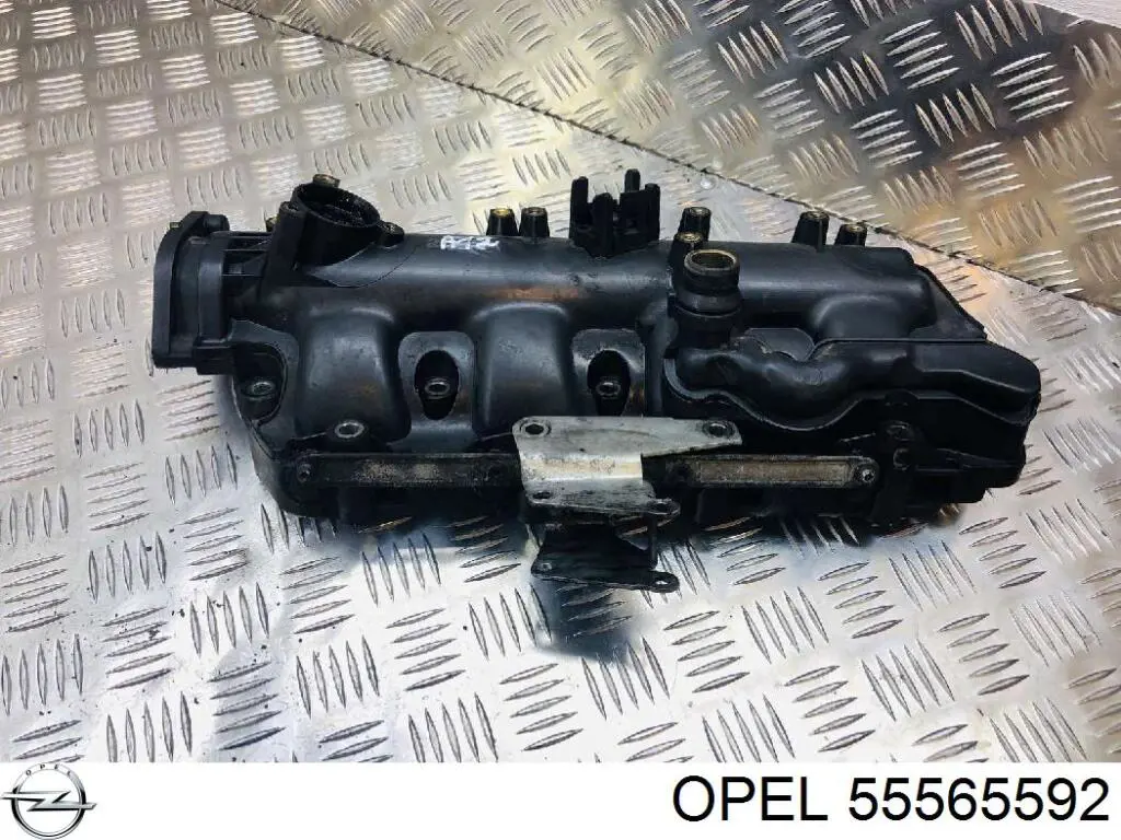Впускний колектор 55565592 Opel