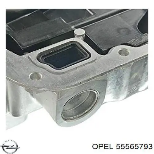 55565793 General Motors 