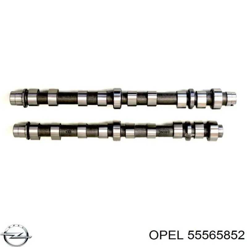 55565852 Opel Вал розподільний