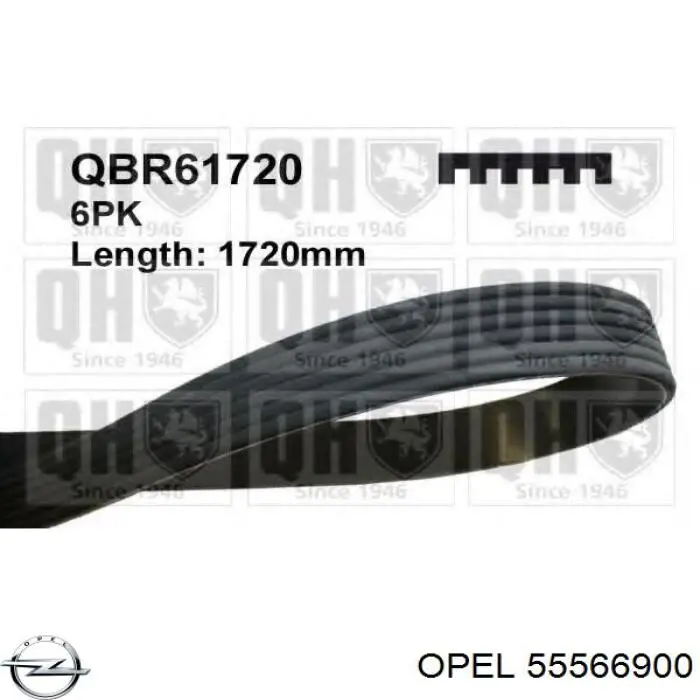 Купити 55566900 Opel Ремінь генератора