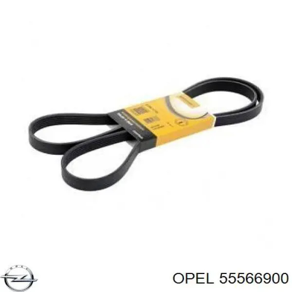 Ремінь генератора 55566900 Opel
