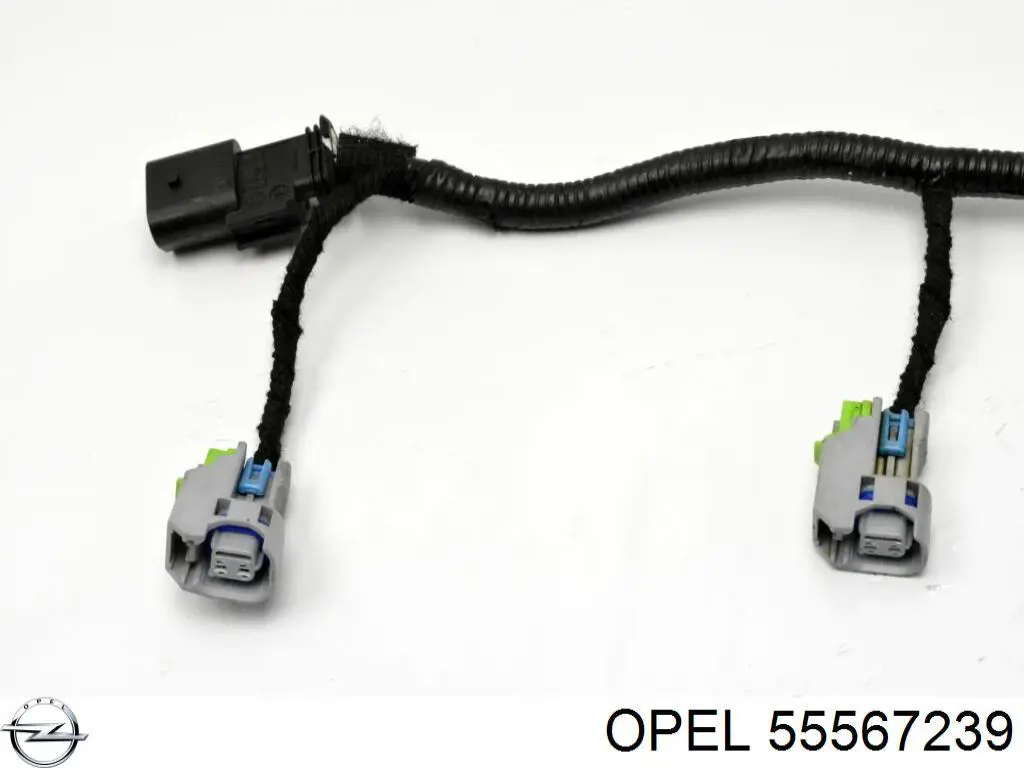 55567239 General Motors 