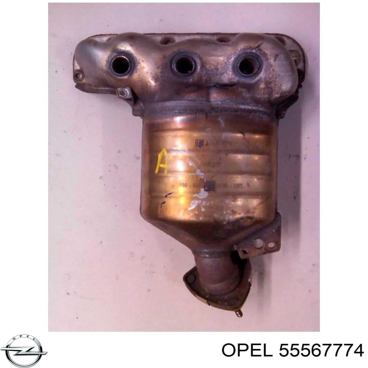 Купити 55567774 Opel Перетворювач відпрацьованих газів
