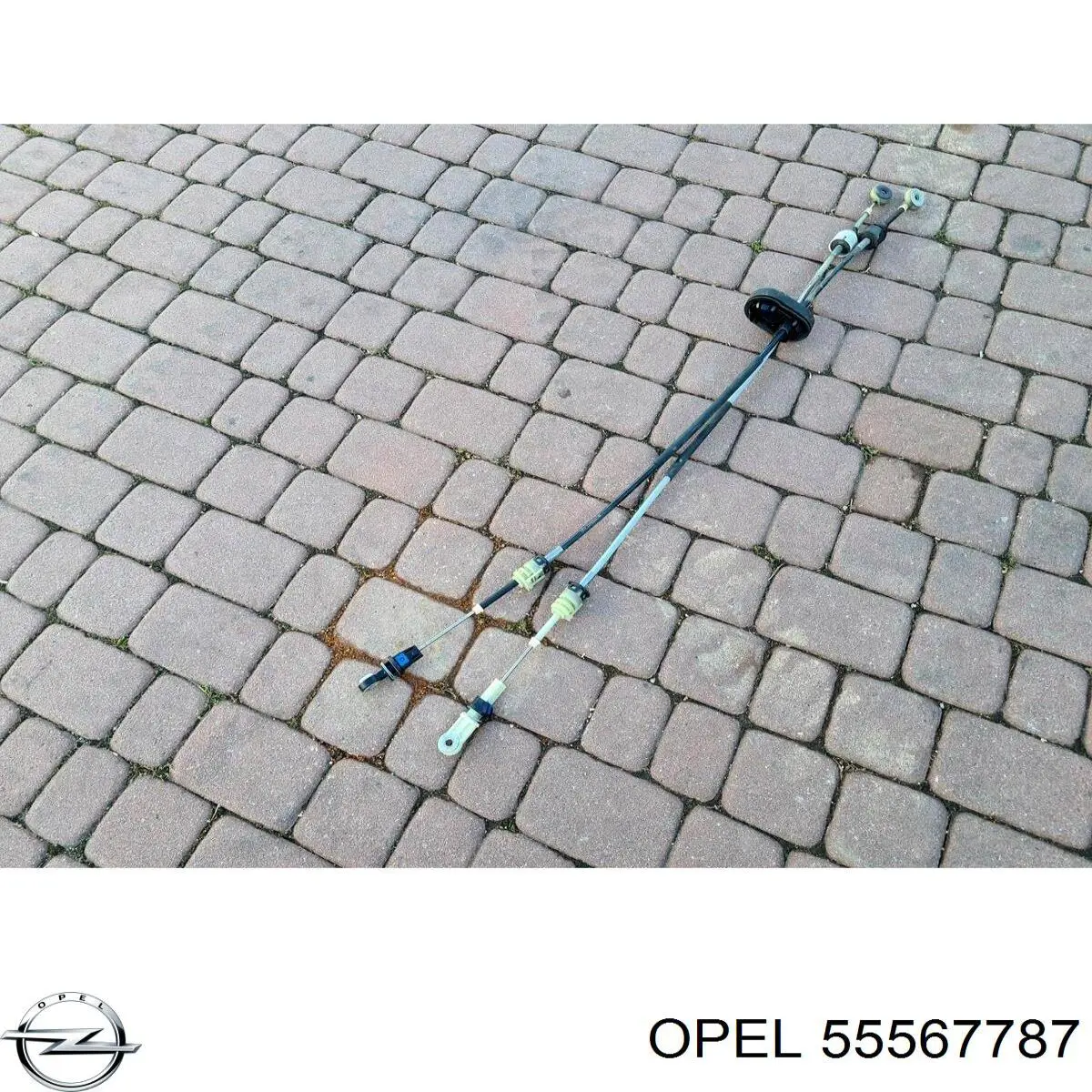 55567787 Opel 