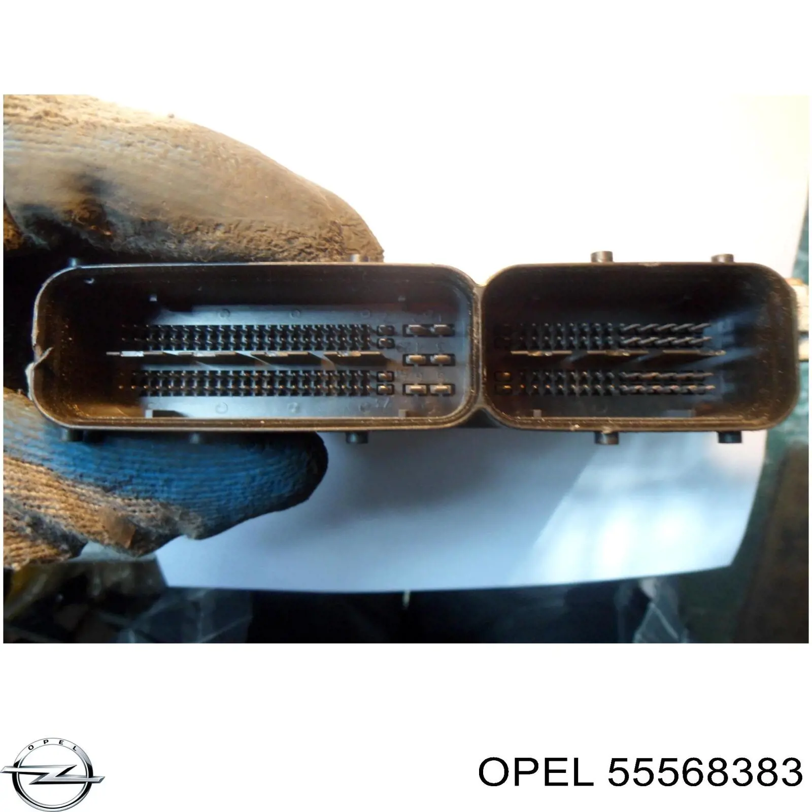 55568383 Opel 