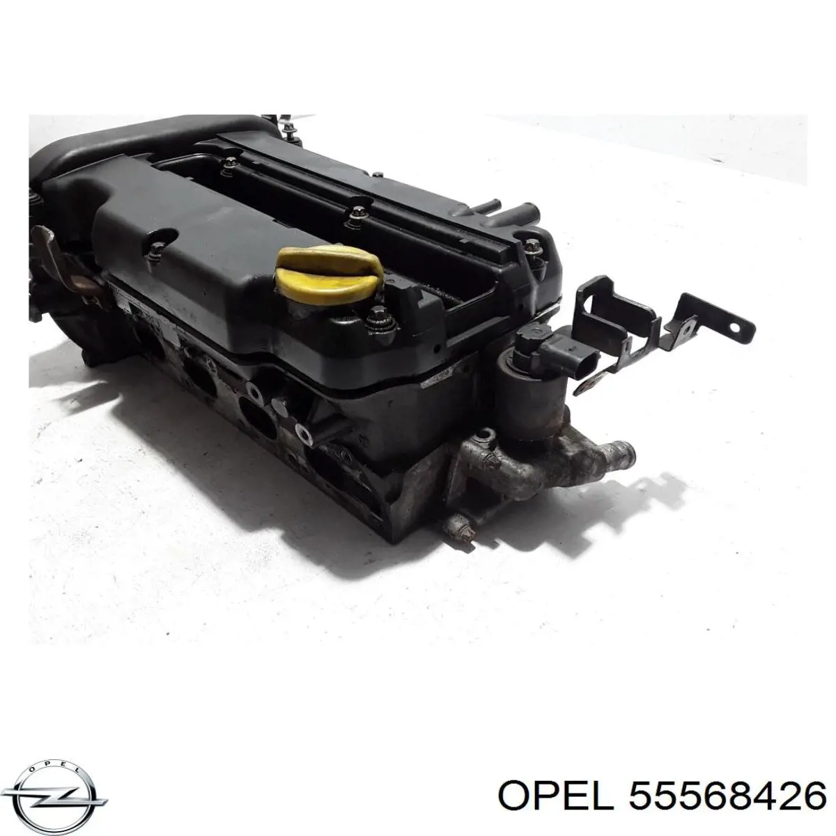 55568426 Opel 