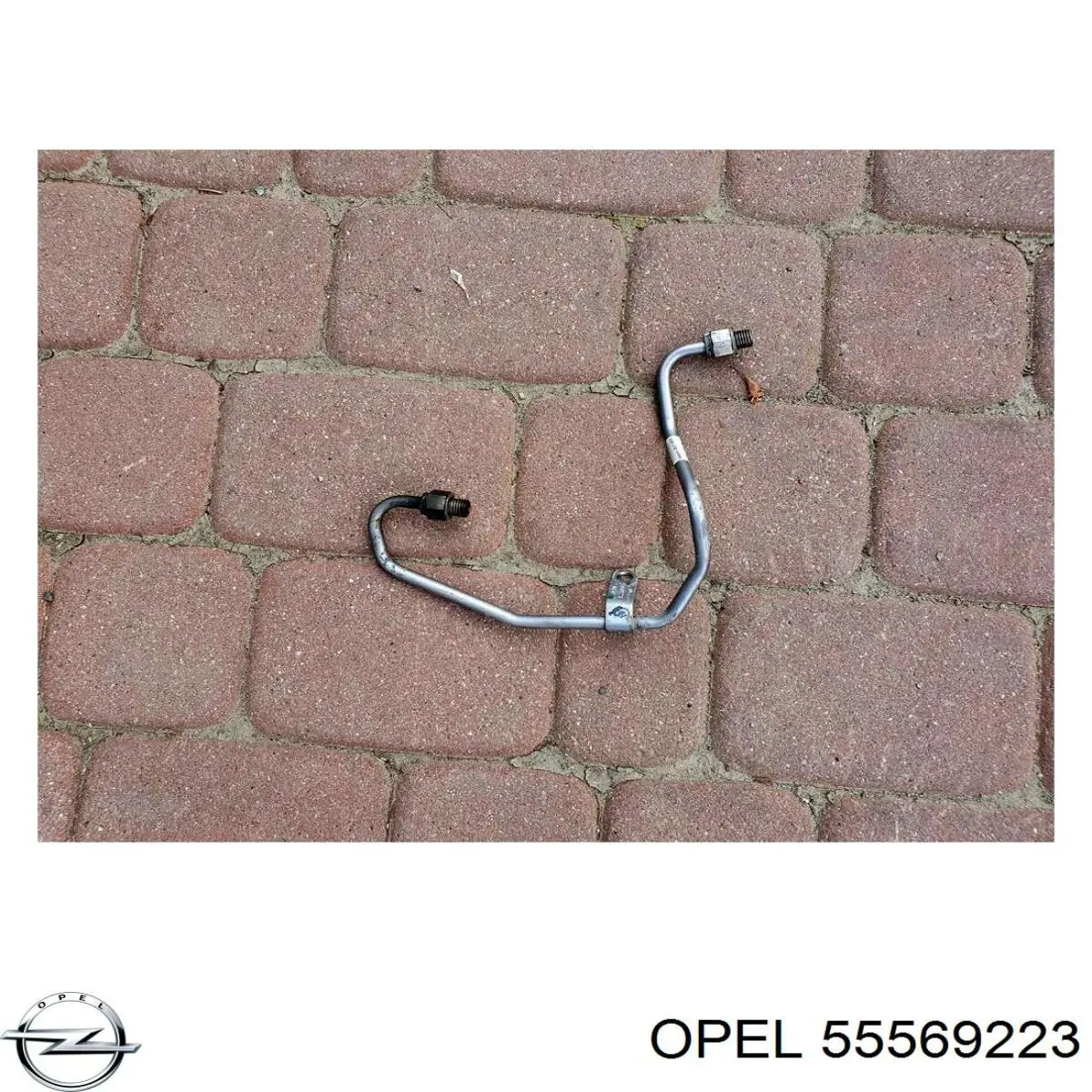 Купити 55569223 Opel Трубка/шланг подачі масла до турбіни