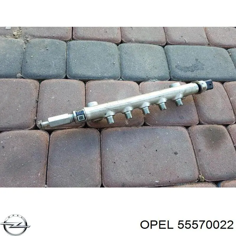 55570022 Opel 