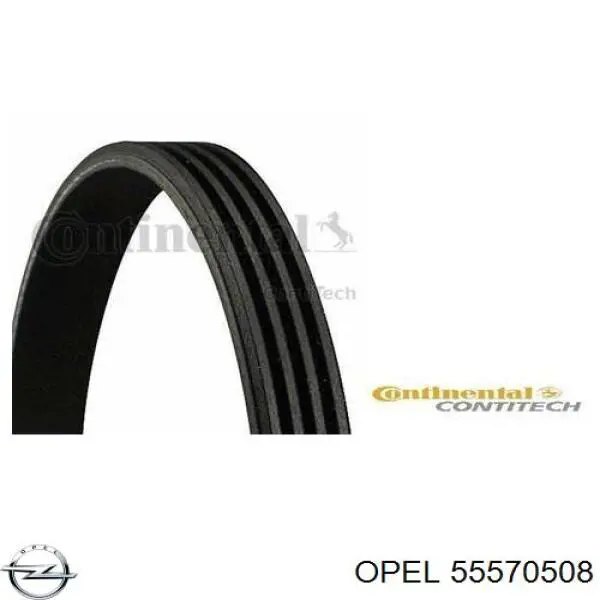 Купити 55570508 Opel Ремінь генератора