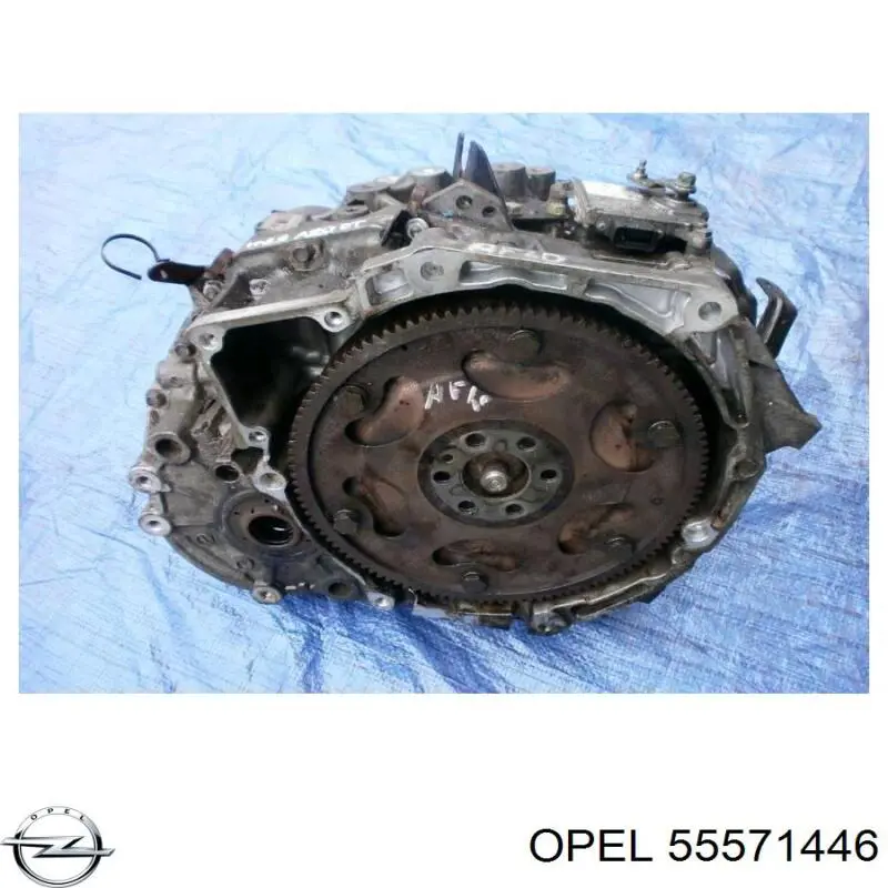 55571446 Opel 