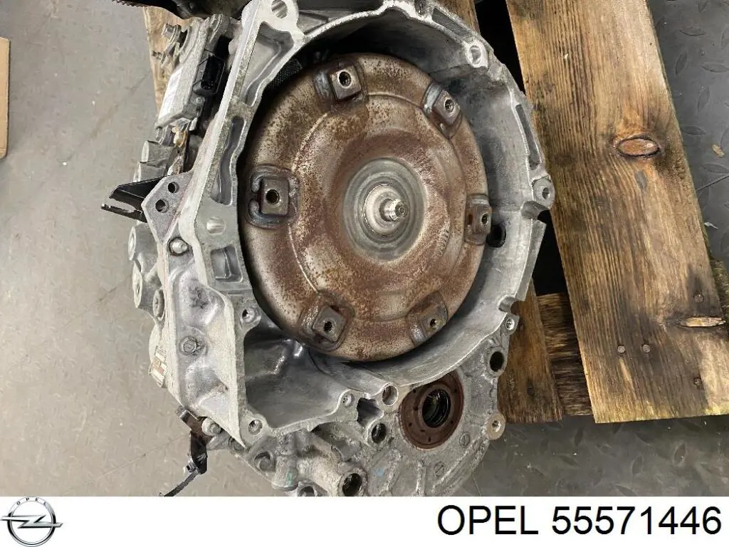  55571446 Opel