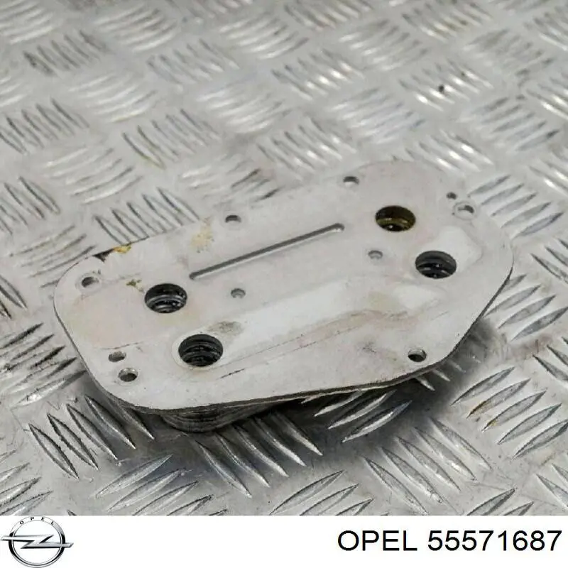 Купити 55571687 Opel Радіатор масляний