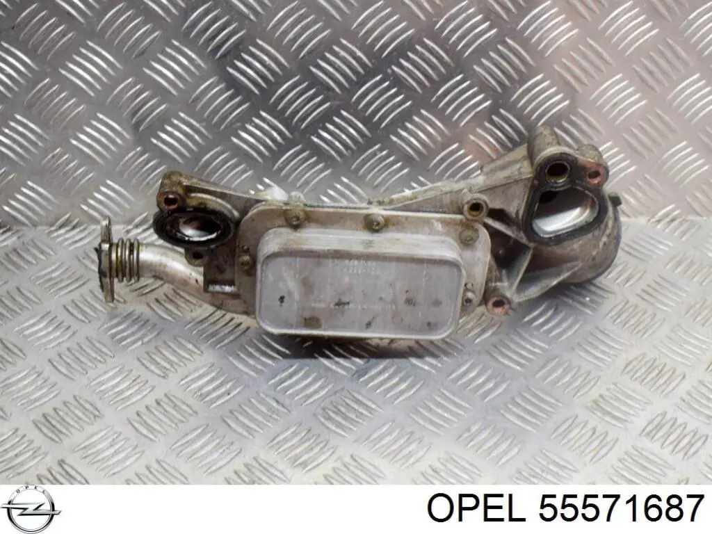 Радіатор масляний Opel 55571687 ціна, від 43.28 USD