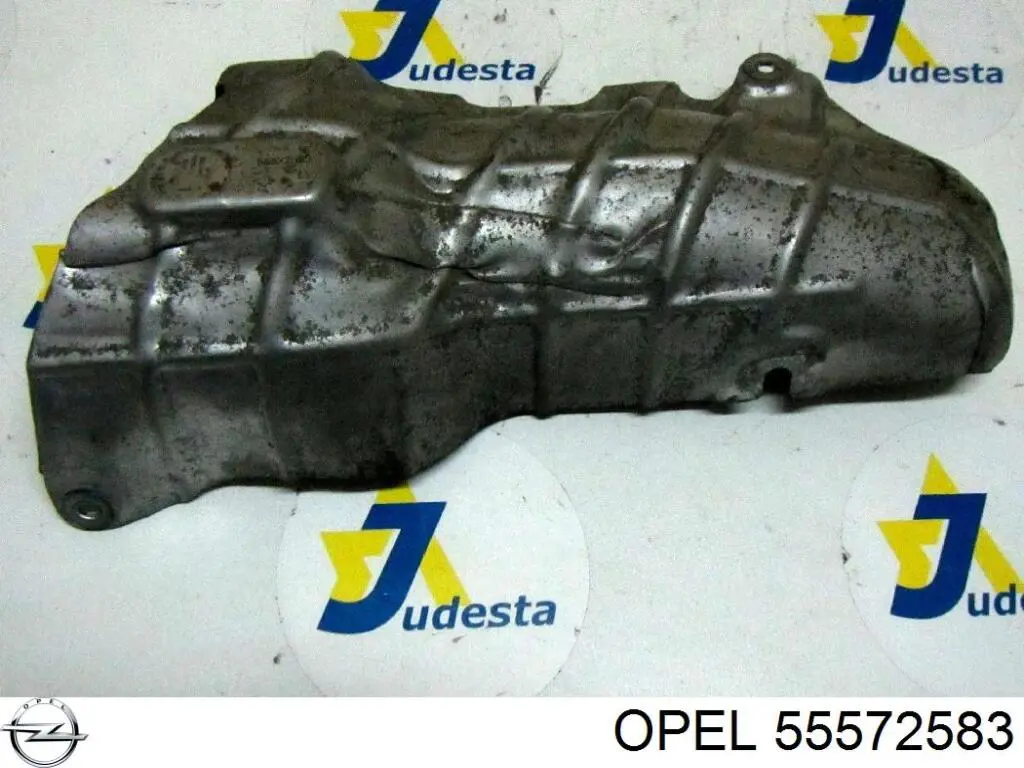 Купити 55572583 Opel 