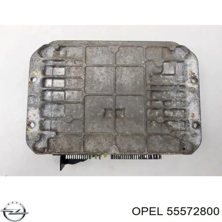 55572800 Opel 