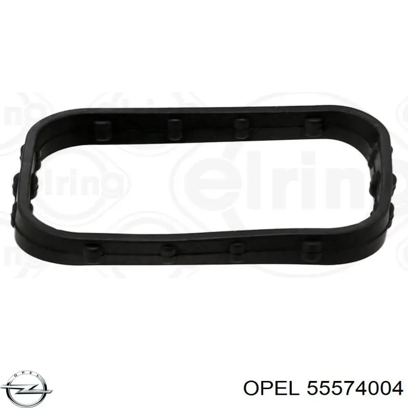 Прокладка водяної помпи 55574004 Opel