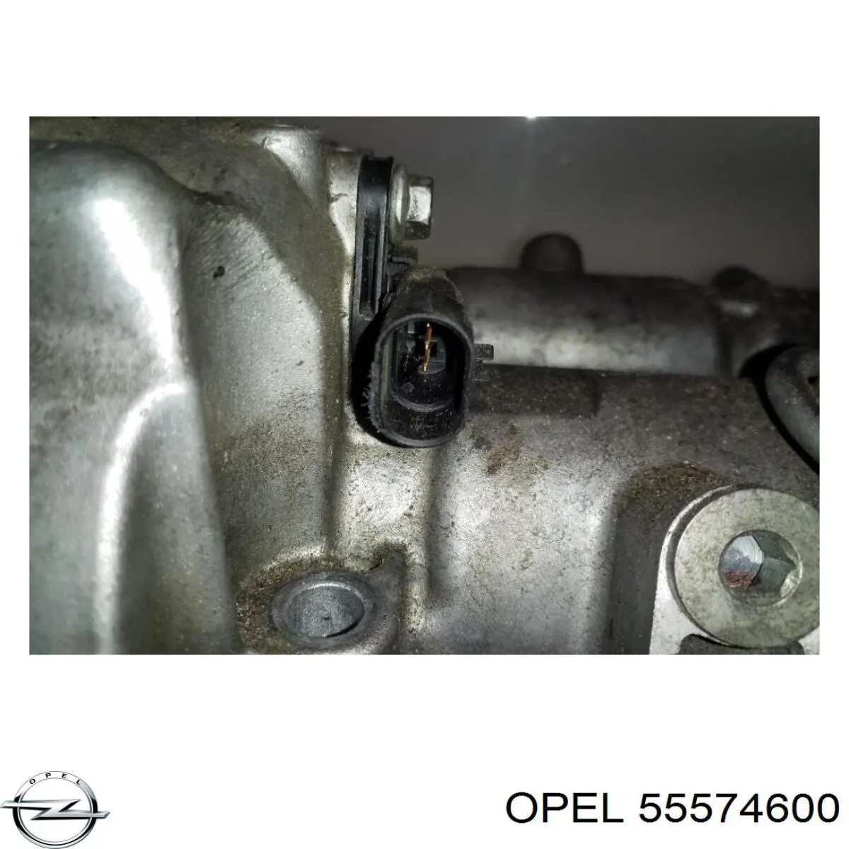 55574600 Opel 