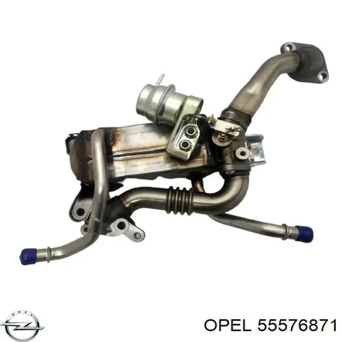 Купити 55576871 Opel Радіатор системи EGR рециркуляції вихлопних газів