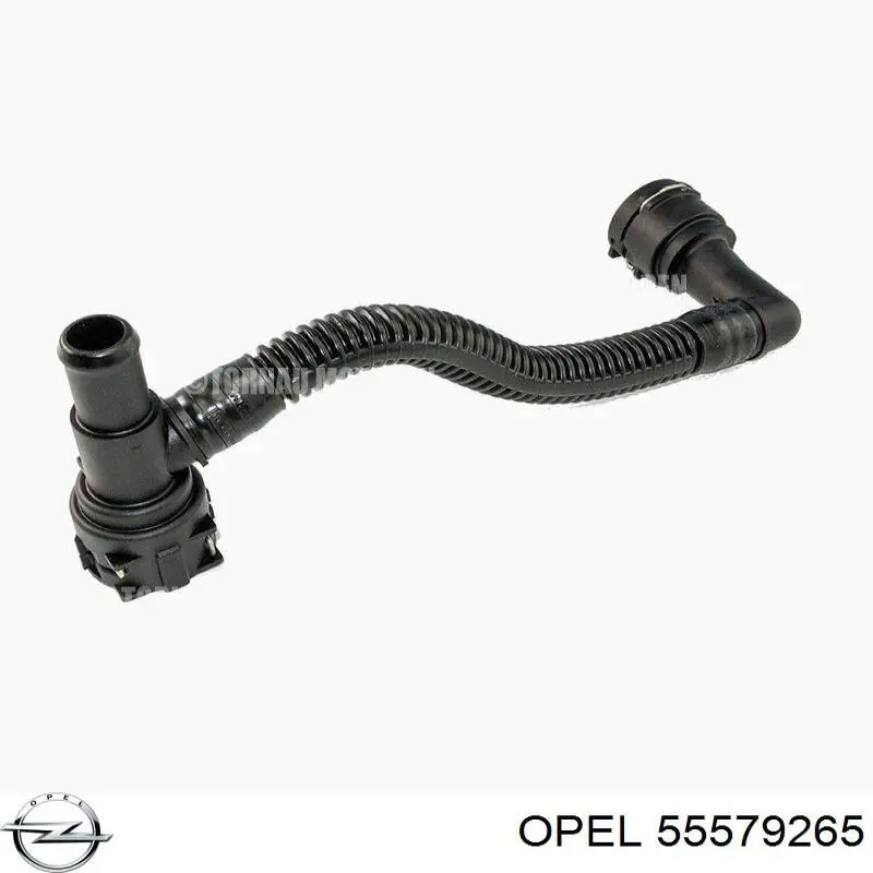 650071 Opel Шланг (патрубок) охолодження масляного теплообмінника, відведення