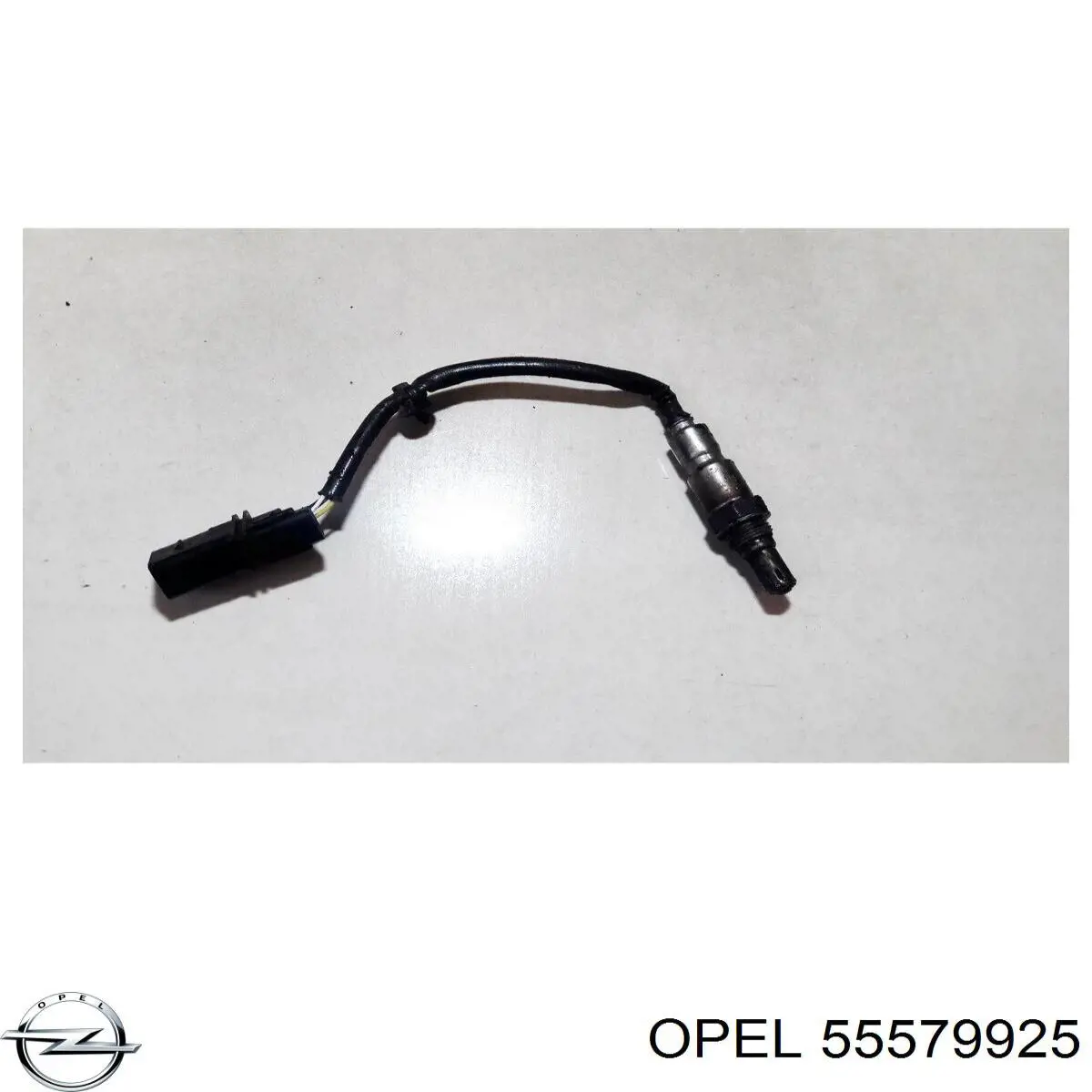 55579925 Opel 