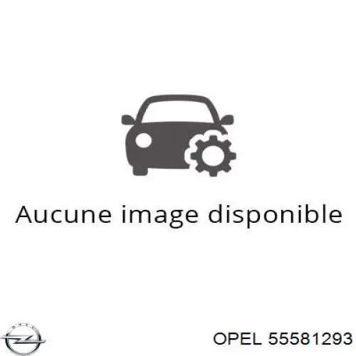 Стартер автомобільний General Motors 55581293